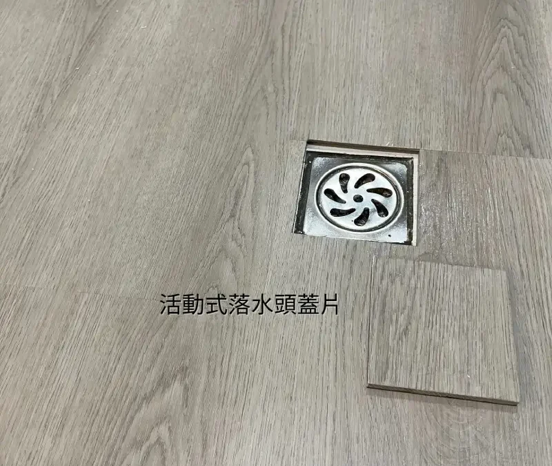 地板-活動式落水頭蓋片